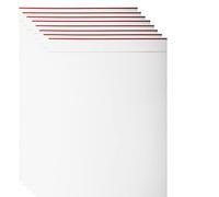Pakico 100 Sachets Zip Refermables 15 x 20 cm | Sachets plastique transparents avec fermeture zip, idéals pour rangement, emballage et petits articles