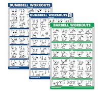 Palace Learning 3 Pack: Dumbbell Workouts Posters Volume 1 & 2 + Barbell Exercises - Set of 3 Workout Charts (LAMINATED, 18" x 24")