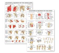 Palace Learning Lot de 2 posters anatomiques et blessures du genou et des épaules - Ensemble de tableaux anatomiques - Laminé 45,7 x 61 cm