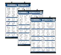 Palace Learning Lot de 3 affiches d'entraînement avec haltères pour salle de sport à domicile - Volume 1, 2 et 3 - Tableaux d'exercices (laminés avec cadre en plastique, 45,7 x 61 cm)