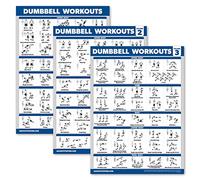 Palace Learning Lot de 3 affiches d'entraînement avec haltères pour salle de sport à domicile - Volume 1, 2 et 3 - Tableaux d'exercices (laminés, 45,7 x 61 cm)