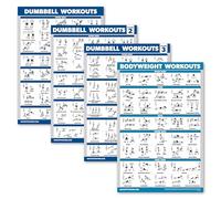 Palace Learning Lot de 4 affiches d'entraînement avec haltères Volume 1, 2 et 3 + tableau d'exercices de poids corporel - Lot de 4 affiches (laminées, 45,7 x 61 cm)