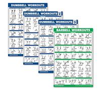 Palace Learning Lot de 4 affiches d'entraînement avec haltères Volume 1, 2 et 3 + tableau d'exercices d'haltères - Lot de 4 affiches (laminées, 45,7 x 61 cm)