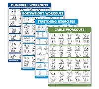 Palace Learning Lot de 4 tableaux d'entraînement avec haltères + exercices de poids corporel + exercices d'étirement + entraînement à la machine à câble - Lot de 4 tableaux d'entraînement (laminé,