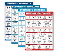 Palace Learning Lot de 4 tableaux d'entraînement avec haltères + exercices d'étirement + boucles de résistance (45,7 x 61 cm, laminé)