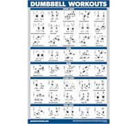 Palace Learning Poster d'exercice d'entraînement avec haltères - Guide de musculation libre | Tableau de gym à domicile - Laminé 45,7 x 61 cm
