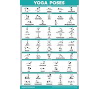 Palace Learning Poster d'exercices de position de yoga - Tableau de poses de yoga Asana - Laminé, 45,7 x 61 cm