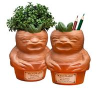 Harry Potter Mandrake Pen Pot Multicolore
