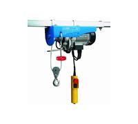 Palan électrique 125/250 kg - 990G