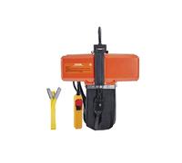 Palan Electrique à Chaîne Capacité 499kg Avec Chaîne G100 Télécommande Filaire