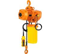 Palan électrique à chaîne monophasé Palan de grue 4m de levage 1T Télécommande