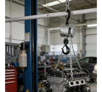 Palan Manuel, palan à chaîne Portable et léger, Mini palan à chaîne, Petit palan, chaîne G80 250 kg, Double Frein, Crochet pivotant à 360° pour Garage Domestique 0.25T