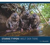 PALAZZI Calendrier 2024, au format 60 x 50 cm, calendrier mensuel à suspendre, calendrier avec images d'animaux majestueux : Wildlife Photography