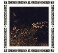 Pale Bloom (Lp)