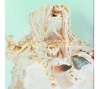 Pale Saints - In Ribbons (30th Anniversary Re:Masters) (Reissue) (2 LP)