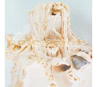 PALE SAINTS - IN RIBBONS (LTD 30TH ANNI. VINYL LP NEUF