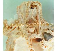 Pale Saints - in Ribbons [Re-Issue] [Import]