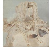 Pale Saints,the - In Ribbons [Vinyl LP]