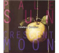 Pale Sun,Crescent Moon