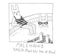 Palehound - YMCA Pool