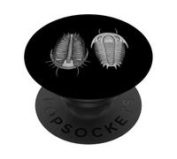 Paléontologie Dorsale et Ventrale fossile Trilobite PopSockets PopGrip Adhésif