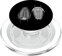 Paléontologie Dorsale et Ventrale fossile Trilobite PopSockets PopGrip pour MagSafe