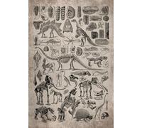 Paleontology 2026 Planner Weekly and Monthly with Skeleton: Minimalist Calendar Organizers, goal, to do list