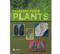 Paleozoic Fossil Plants by Bruce L. Stinchcomb Inconnu (Auteur)