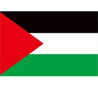 Palestine -Drapeau avec 2 cuivres -GROMPets Couleur vive Polyester Double couture Couleur Fast Pays pour décoration extérieure 60x90 cm/23,6 x 35,4in