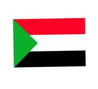 Palestine National Flag 3x5 pieds UV Fade résistant à l'imprimerie numérique avec des œillets en métal pas de poteau, drapeau