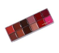 Palette 12 Rouges à Lèvres Stick Velours Mat Résistance Longue Durée