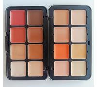 Palette anti - cernes crème 12 couleurs, Palette blush, crème mate correcteur de couleur naturelle, palette de Maquillage visage, maquillage durable, peau parfaite (16 colors)