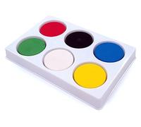 Palette de 6 puits avec peinture