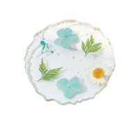 Palette de conception d ' ongles de fleurs séchées encapsulées en résine transparente, planche de surfaces lisses pour un mélange homogène Unguis Art mélange de couleurs