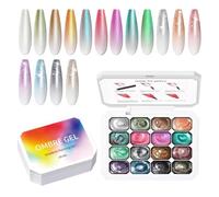 Palette De Gel Pour Ongles - Tableau De Couleurs Dégradées Sans Essuyage À 16 Grilles, Plateau D'affichage De Mélange Professionnel | Ensemble D'outils De Pratique De Conception De Manucure, Accessoir