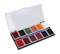 Palette de peinture pour le visage et le corps, 12 couleurs, imperméable, belles couleurs, Kit de peinture pigmentée pour maquillage Cosplay, 60g