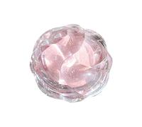 Palette De Poudre Surligneur Scintillerie Brillante Maquillage Des Yeux Mise En Évidence Pour La Joue La Joue Intérieur Gastro