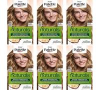 Palette Naturals Lot de 6 colorations capillaires permanentes 8-0 Blond clair nourrissant sans ammoniaque Pour couvrir jusqu'à 100 % des cheveux blancs Formule végétalienne 0 % silicone 115 ml