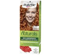 Palette Nc 8.77 Cobrizo Intens Pincel Es
