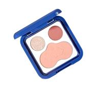 Palettes De Poudre De Sculpture Du Visage Avec Blushs Miroir Blushs Bronzer En Surbrillance Pour Le Maquillage Maquillage Pour Les Débutants Débutant Débutant