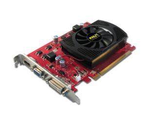 Palit GeForce GT 220 - Adaptateur graphique - GF GT 220 - PCI Express 2.0 - 1 Go DDR3 - DVI, HDMI ( HDCP )