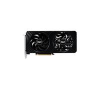 PALIT - Carte graphique - GeForce RTX 5060 - Dual OC - 8 Go
