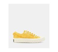 Palladium - Baskets Basses Palla Ace En Coton - Jaune - 39