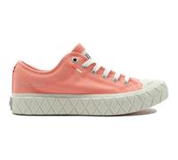 Palladium Baskets Palla Ace Canvas