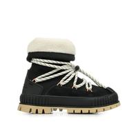 PALLASHOCK HIVER