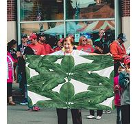 Palm Leaf Flag 3x5 FT Tropical Hawaii Jungle Aloha Palm Tree Banana Leaves Outdoor Flags Large Welcome Yard Banners Home Garden Yard Lawn Decor Green White