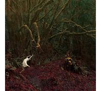 PALM - To Live Is To Die.To Die Is To(Limited)