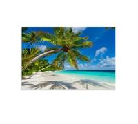 Palm Tree on The Beach in Bright Sunshine Poster d'art sur toile Décoration moderne 60 x 90 cm