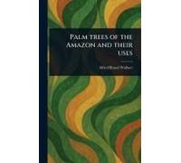 Palm Trees of the Amazon and Their Uses