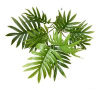 Palmier areca artificiel de 30 cm de haut avec 11 feuilles, décoration de mariage et d'intérieur, texture réaliste et PVC résistant à la décoloration, facile d'entretien, imitation verdure pour